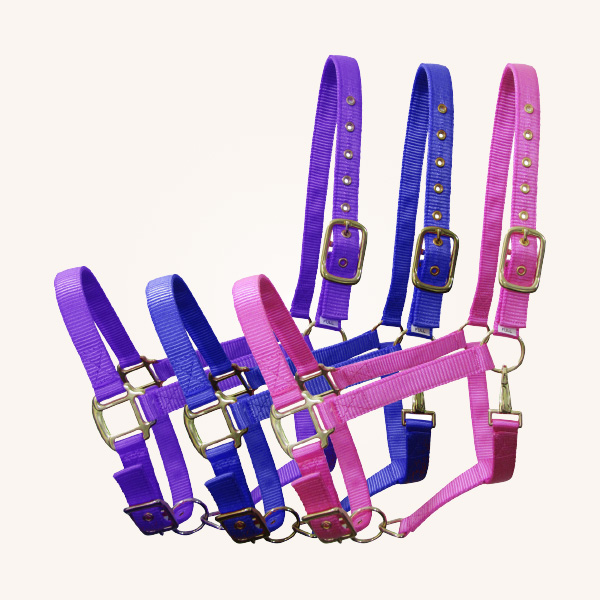 Nylon Halters (Non-Leather)