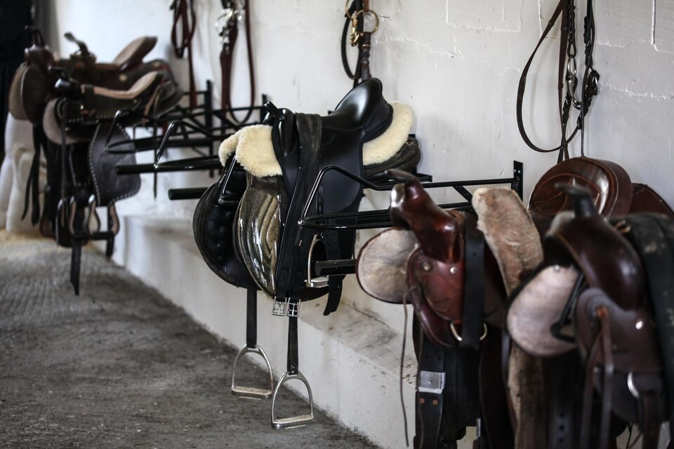 A Step by Step Guide How to Attach a Bridle Rope