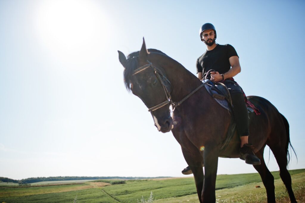 What is a Leather Headstall And Its Uses