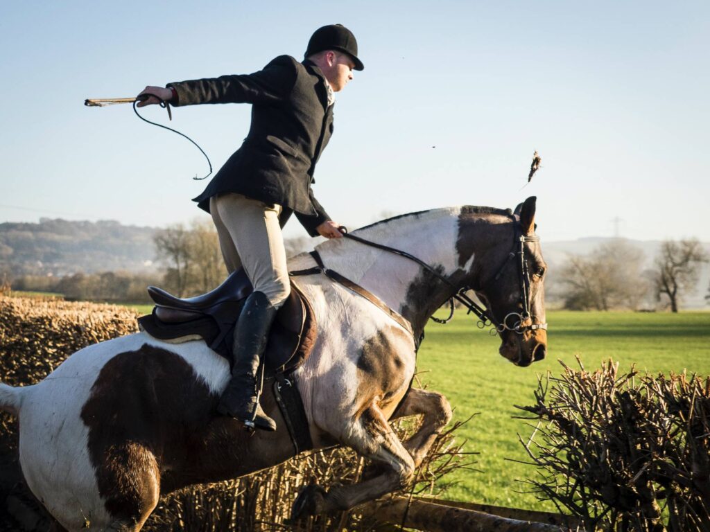 Essential Tips On Take Care Leather Horse Tack