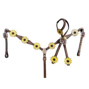 Headstall And Breastcollar Set (HSBM 114189)