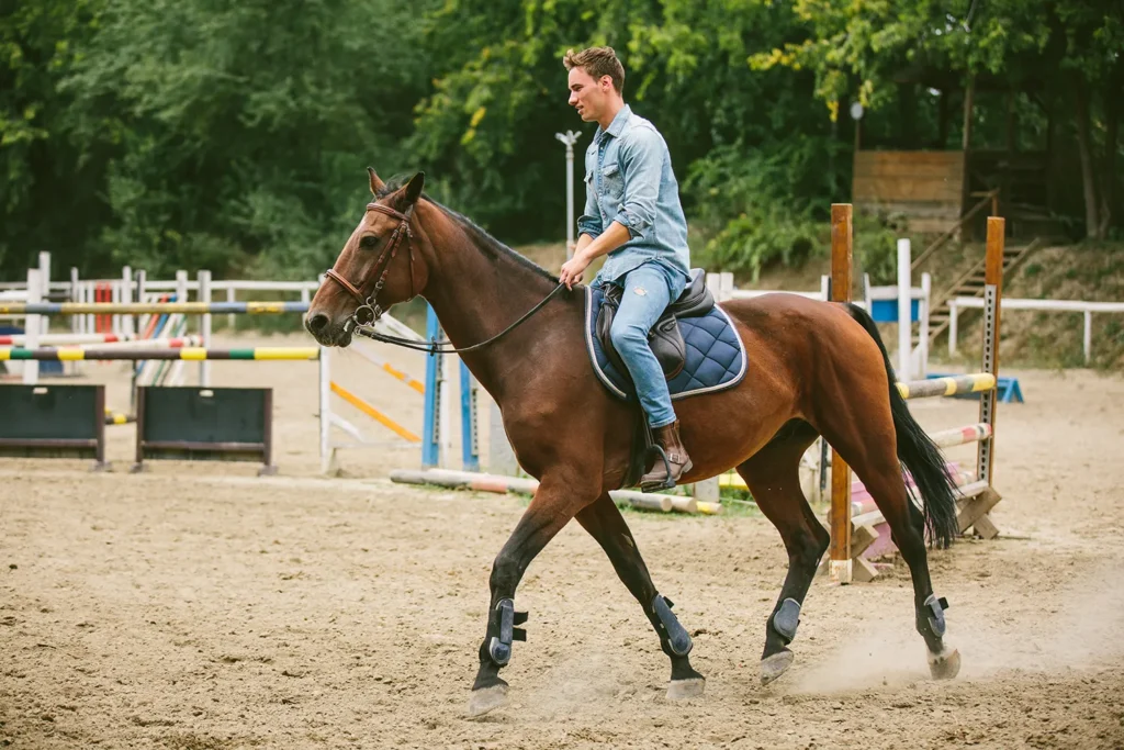 Advantages of Quality Lather Halters