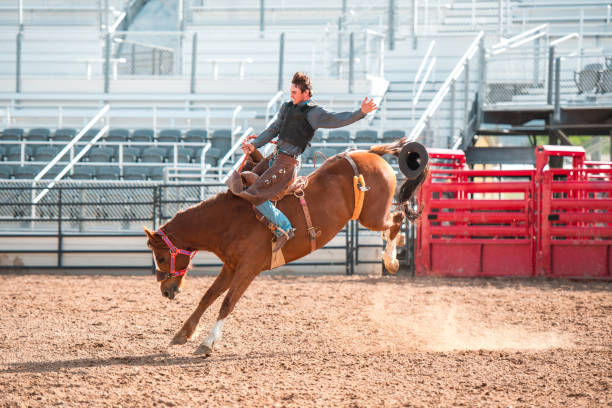How To Check Quality of Leather Headstall