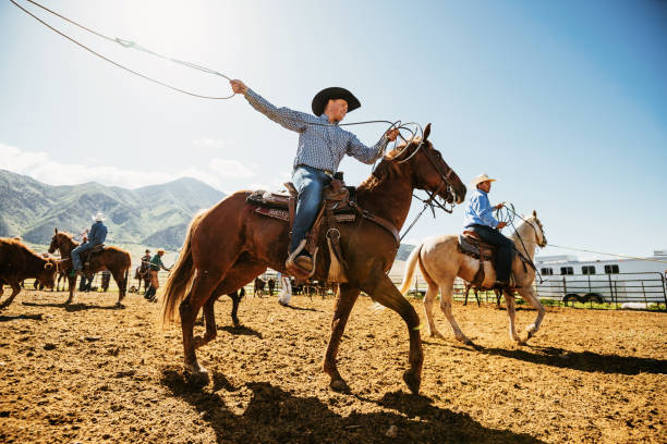 What is The Purpose Of One Ear Headstall