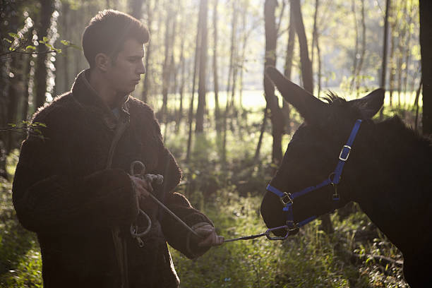 How To Measure Headstall Size