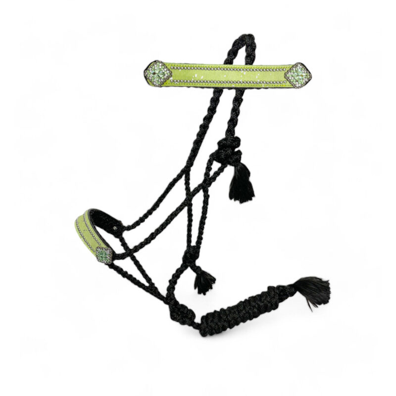 Leather Noseband Mule Tape Lead Rope Halter MMH 114328