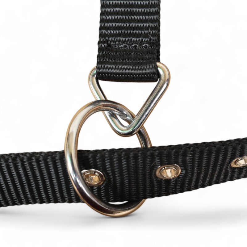 Acid Wash Hair on Leather Bronc Halter BHM 2713154 - Image 9