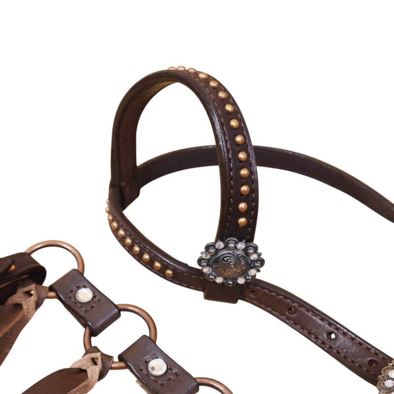 Western Horse Ring Tack Set (HSBM 114384) - Image 5