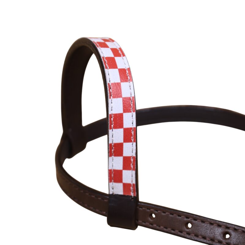 Western Horse Ring Tack Set (HSBM 114380) - Image 5