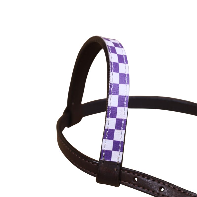 Western Horse Ring Tack Set (HSBM 114379) - Image 6